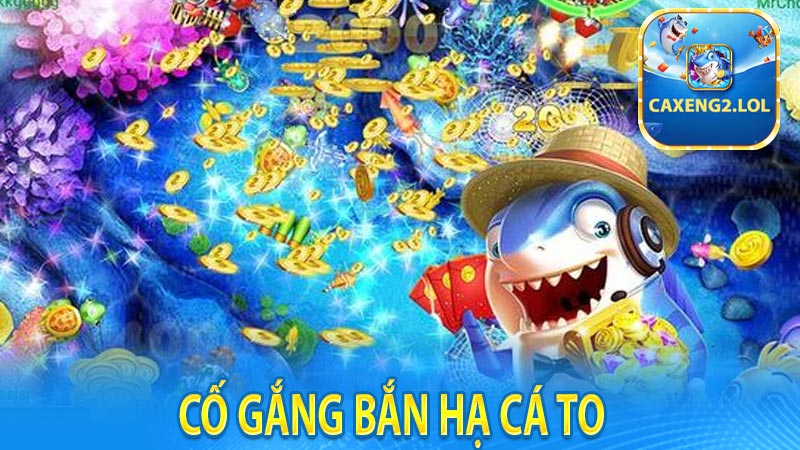 Cố gắng bắn hạ cá to