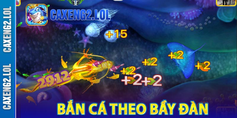 Bắn cá theo bầy đàn