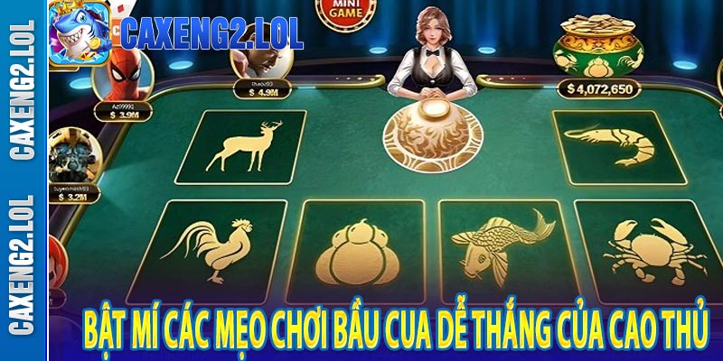 Bật mí các mẹo chơi bầu cua dễ thắng của cao thủ