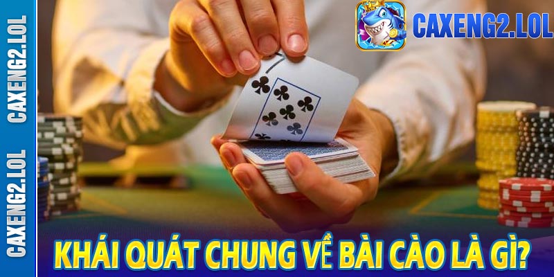 Khái quát chung về bài cào là gì?