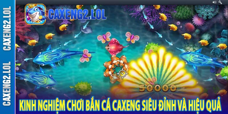 Kinh nghiệm chơi bắn cá caxeng siêu đỉnh và hiệu quả