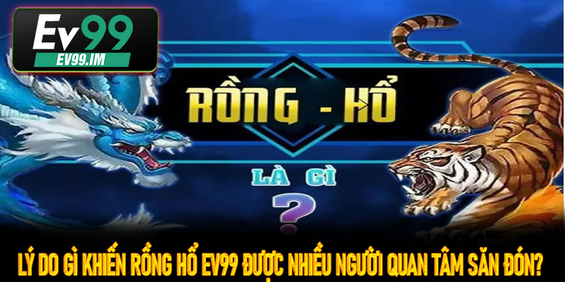 Lý do gì khiến rồng hổ Ev99 được nhiều người quan tâm săn đón?