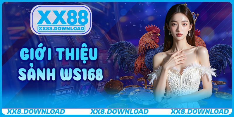 Giới thiệu Sảnh WS168 – Sân chơi đá gà đỉnh cao tại XX88