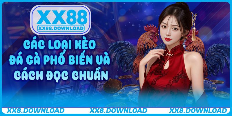 Các loại kèo đá gà phổ biến và cách đọc chuẩn